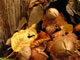 Mushrooms: 071020 010